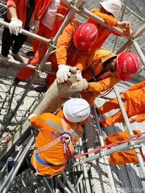 关注 | 混凝土芯样34.86米！中国电建再创世界纪录